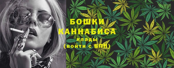 мет Гусев