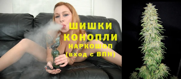 мет Гусев