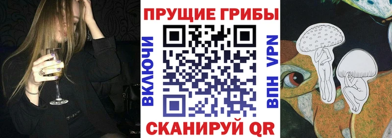 Псилоцибиновые грибы GOLDEN TEACHER  Купить где  Сольцы 